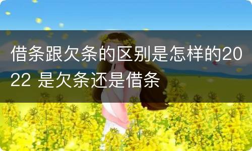 借条跟欠条的区别是怎样的2022 是欠条还是借条