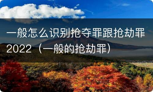 一般怎么识别抢夺罪跟抢劫罪2022（一般的抢劫罪）