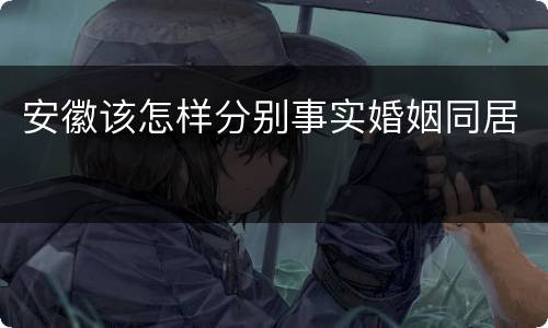 安徽该怎样分别事实婚姻同居