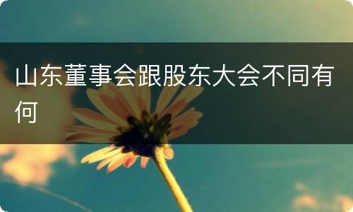 山东董事会跟股东大会不同有何