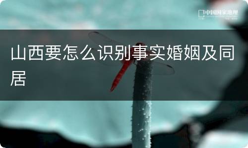 山西要怎么识别事实婚姻及同居