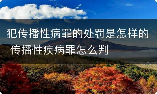 犯传播性病罪的处罚是怎样的 传播性疾病罪怎么判