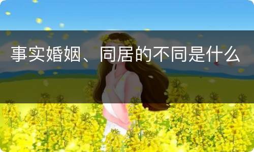 事实婚姻、同居的不同是什么