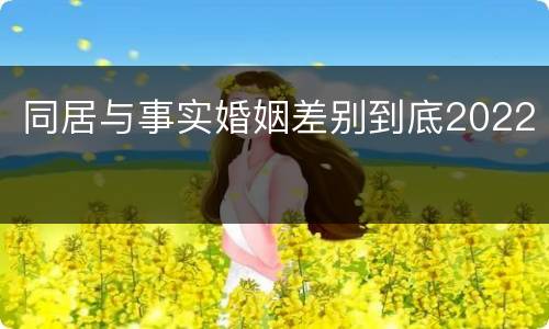 同居与事实婚姻差别到底2022