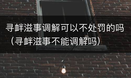 寻衅滋事调解可以不处罚的吗（寻衅滋事不能调解吗）