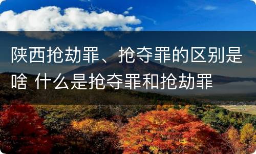 陕西抢劫罪、抢夺罪的区别是啥 什么是抢夺罪和抢劫罪