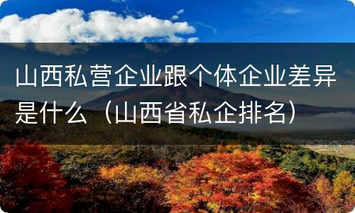山西私营企业跟个体企业差异是什么（山西省私企排名）