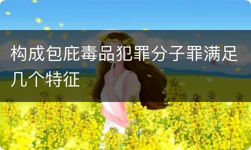 构成包庇毒品犯罪分子罪满足几个特征