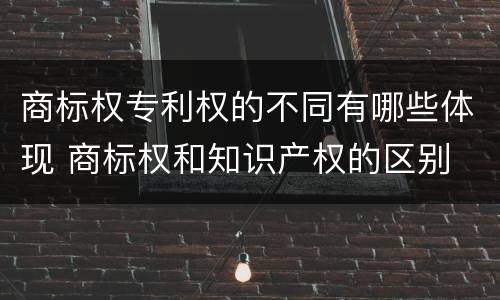 商标权专利权的不同有哪些体现 商标权和知识产权的区别