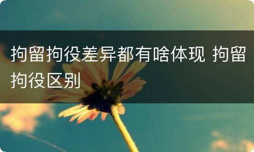 拘留拘役差异都有啥体现 拘留拘役区别