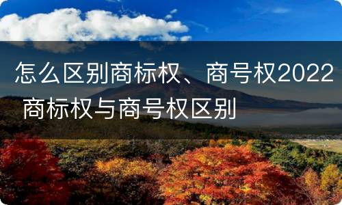 怎么区别商标权、商号权2022 商标权与商号权区别