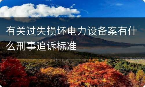 有关过失损坏电力设备案有什么刑事追诉标准