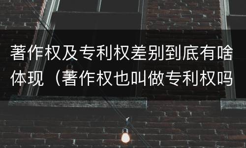 著作权及专利权差别到底有啥体现（著作权也叫做专利权吗）