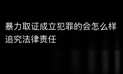 暴力取证成立犯罪的会怎么样追究法律责任