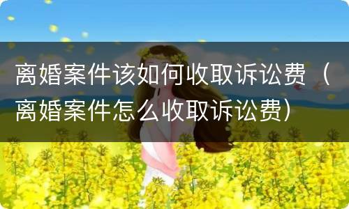 离婚案件该如何收取诉讼费（离婚案件怎么收取诉讼费）