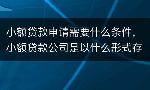 小额贷款申请需要什么条件，小额贷款公司是以什么形式存在的