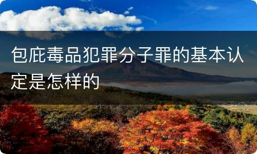 包庇毒品犯罪分子罪的基本认定是怎样的