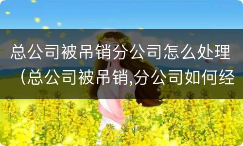 总公司被吊销分公司怎么处理（总公司被吊销,分公司如何经营）