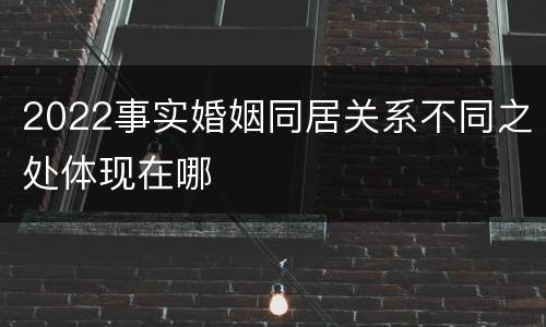 2022事实婚姻同居关系不同之处体现在哪