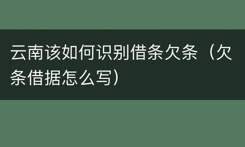 云南该如何识别借条欠条（欠条借据怎么写）