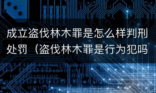成立盗伐林木罪是怎么样判刑处罚（盗伐林木罪是行为犯吗）