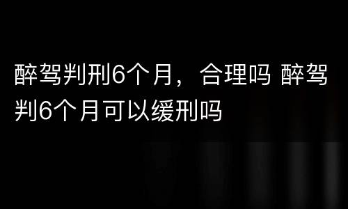醉驾判刑6个月，合理吗 醉驾判6个月可以缓刑吗