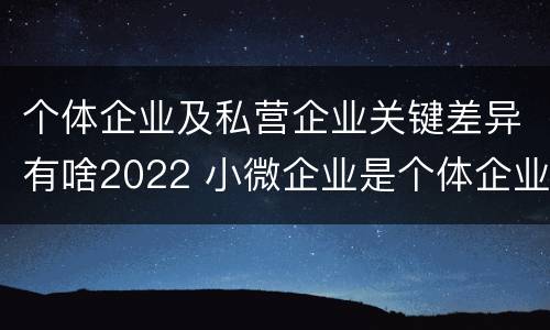 个体企业及私营企业关键差异有啥2022 小微企业是个体企业还是私营企业