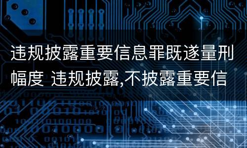 违规披露重要信息罪既遂量刑幅度 违规披露,不披露重要信息罪判例
