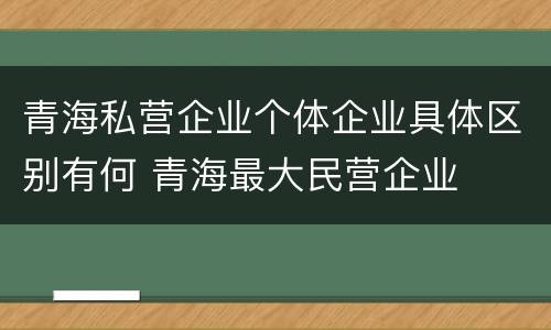青海私营企业个体企业具体区别有何 青海最大民营企业