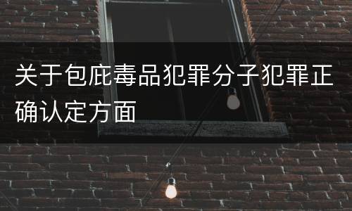 关于包庇毒品犯罪分子犯罪正确认定方面
