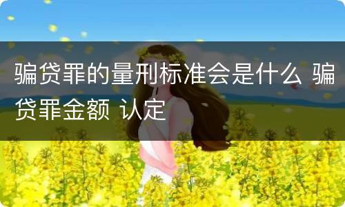 骗贷罪的量刑标准会是什么 骗贷罪金额 认定