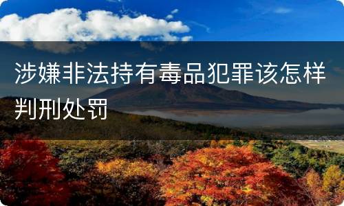 涉嫌非法持有毒品犯罪该怎样判刑处罚