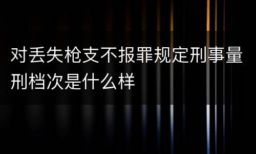 对丢失枪支不报罪规定刑事量刑档次是什么样