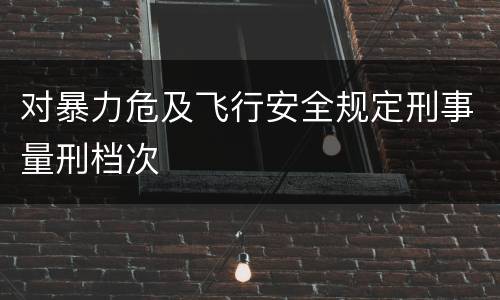 对暴力危及飞行安全规定刑事量刑档次