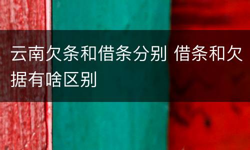 云南欠条和借条分别 借条和欠据有啥区别