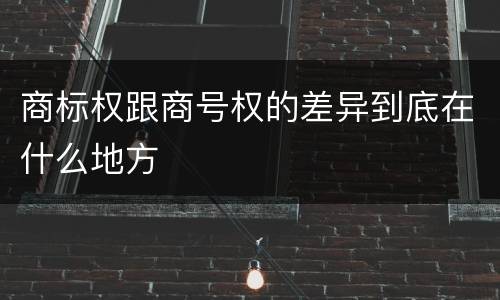 商标权跟商号权的差异到底在什么地方