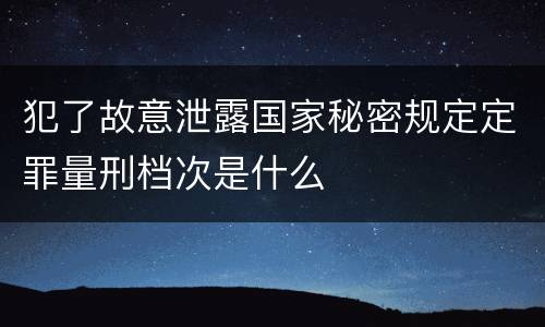 犯了故意泄露国家秘密规定定罪量刑档次是什么