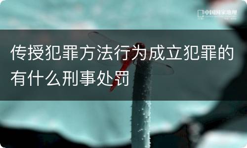 传授犯罪方法行为成立犯罪的有什么刑事处罚