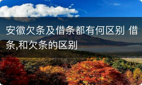 安徽欠条及借条都有何区别 借条,和欠条的区别