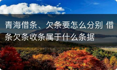 青海借条、欠条要怎么分别 借条欠条收条属于什么条据