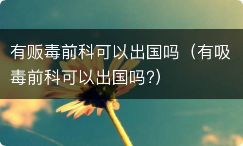有贩毒前科可以出国吗（有吸毒前科可以出国吗?）