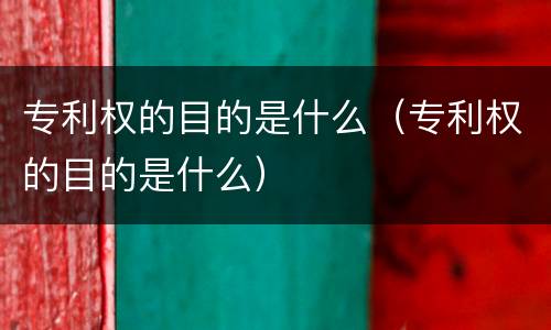 专利权的目的是什么（专利权的目的是什么）