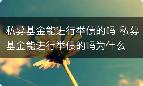 私募基金能进行举债的吗 私募基金能进行举债的吗为什么