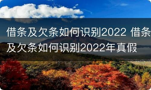 借条及欠条如何识别2022 借条及欠条如何识别2022年真假