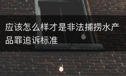 应该怎么样才是非法捕捞水产品罪追诉标准