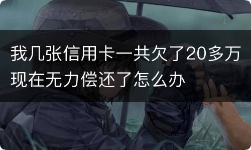我几张信用卡一共欠了20多万现在无力偿还了怎么办