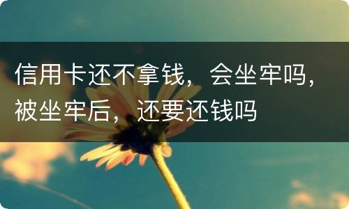 信用卡还不拿钱，会坐牢吗，被坐牢后，还要还钱吗