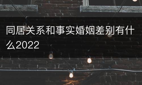 同居关系和事实婚姻差别有什么2022