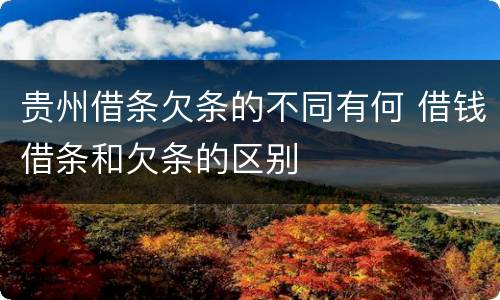 贵州借条欠条的不同有何 借钱借条和欠条的区别