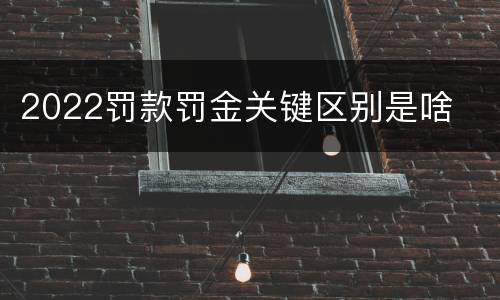 2022罚款罚金关键区别是啥